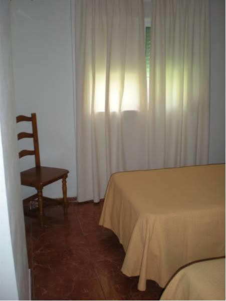 拉西斯巴尼达2*Málaga